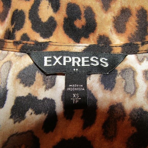 Express V-Neck Animal Leopard Print Blouse Sz XS - Picture 3 of 5